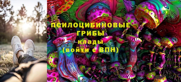 соль курить ск Горнозаводск