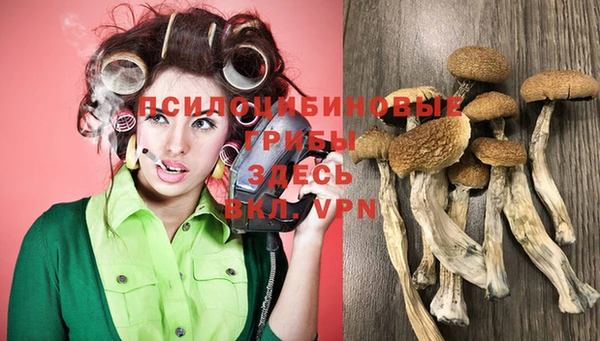 прущие крисы Гусев