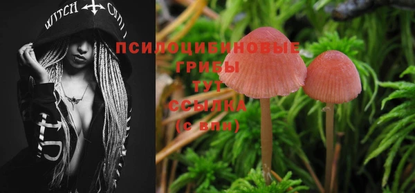 соль курить ск Горнозаводск